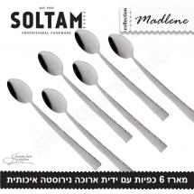 Набор 6 чайных ложчек с длинной ручкой Madlene SOLTAM