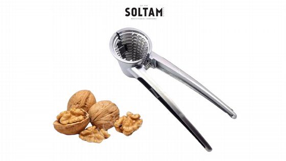 ���� ������ ��������� SOLTAM
